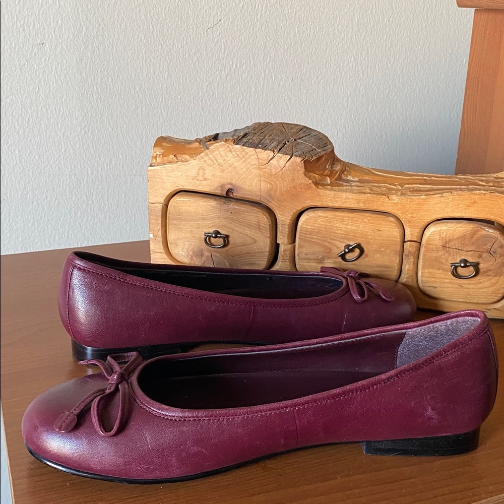 Bass Tutu Ballet Flats - Picture 4 of 10
